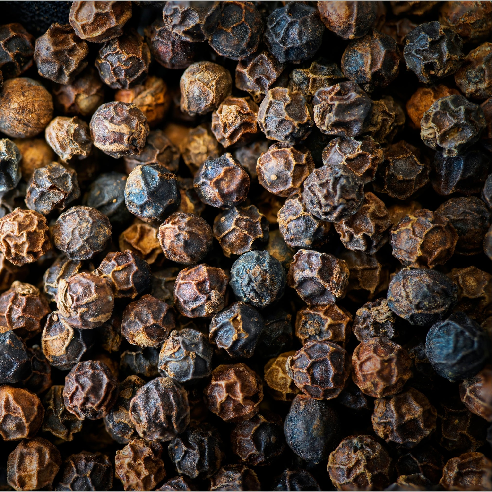 Black Pepper