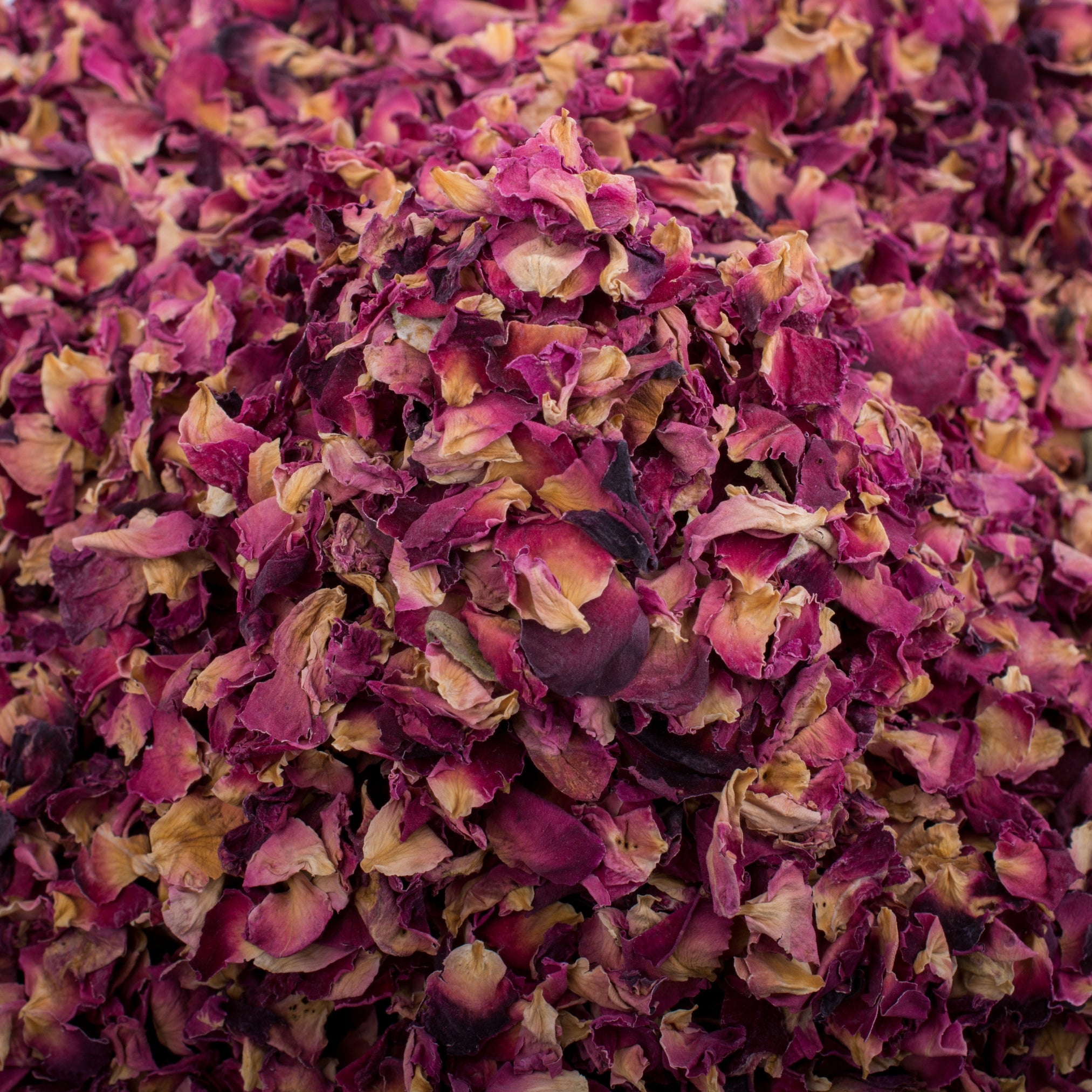 Rose Petals